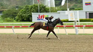 El reto de Fleet Street: Asumir el liderazgo en el Clásico Balsamiro Moreira (GI) en La Rinconada El reto de Fleet Street: Asumir el liderazgo en el Clásico Balsamiro Moreira (GI) en La Rinconada