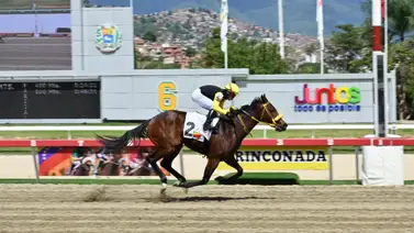 El Clásico Senegal (GI) es de Farolera: La importada quiere el triunfo selectivo en La Rinconada El Clásico Senegal (GI) es de Farolera: La importada quiere el triunfo selectivo en La Rinconada