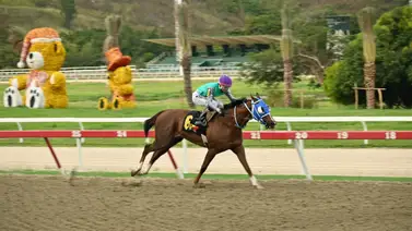 1.800 metros de dominio: Steady busca adueñarse del Clásico Emisael Jaramillo (GI) en La Rinconada 1.800 metros de dominio: Steady busca adueñarse del Clásico Emisael Jaramillo (GI) en La Rinconada