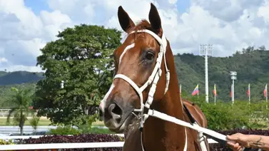 Bunker por su cuarta selectiva consecutiva en el LXIII Clásico Comparación (GI) en La Rinconada Bunker por su cuarta selectiva consecutiva en el LXIII Clásico Comparación (GI) en La Rinconada