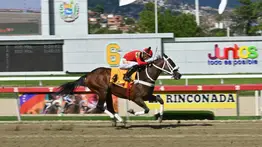 Gran Pepe buscará imponer su velocidad en la Copa “Ministerio de Relaciones Exteriores” este domingo