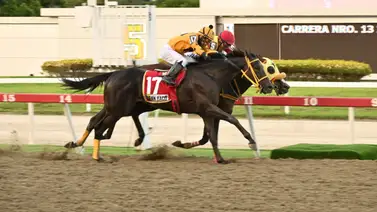 Astuto defenderá su supremacía ante un Gran Yaco que busca el desquite en el Clásico Internacional “Junior Alvarado” (GI) Astuto defenderá su supremacía ante un Gran Yaco que busca el desquite en el Clásico Internacional “Junior Alvarado” (GI)