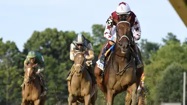 Thorpedo Anna ya conoce cuáles serán los primeros sementales que la montarán Thorpedo Anna ya conoce cuáles serán los primeros sementales que la montarán