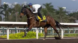 Ka Ying Rising aspira a su decimosexta victoria consecutiva en la Hong Kong Sprint