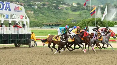 Stud Feralico lanza al ruedo a esta yegua que viene de Panamá y hará su debut en una de las selectivas de la R48 Stud Feralico lanza al ruedo a esta yegua que viene de Panamá y hará su debut en una de las selectivas de la R48