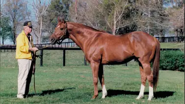 Compran terrenos donde se crío Secretariat para cuidarlos de por vida Compran terrenos donde se crío Secretariat para cuidarlos de por vida