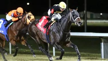 José Francisco D’Angelo por otro Stakes el fin de semana con Howard Wolowitz José Francisco D’Angelo por otro Stakes el fin de semana con Howard Wolowitz