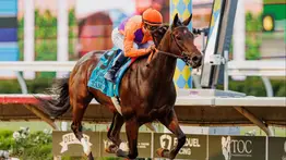 ¡Escándalo! HIWU denuncia infracción médica por parte de Tamara en el Chillingworth G3