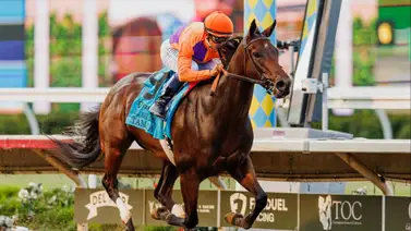 ¡Escándalo! HIWU denuncia infracción médica por parte de Tamara en el Chillingworth G3 ¡Escándalo! HIWU denuncia infracción médica por parte de Tamara en el Chillingworth G3