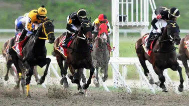 La jugada maestra: Entérate del ajuste clave de la línea de Gaceta Hípica que buscará triunfar en el 5y6 de la R48 La jugada maestra: Entérate del ajuste clave de la línea de Gaceta Hípica que buscará triunfar en el 5y6 de la R48