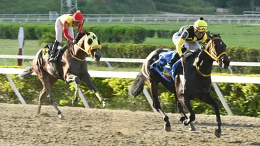 ¡Alto! Antes de sellar no dejes de ver el ajuste de la gran opción de Gaceta Hípica que podría decidir en el 5y6 dominical ¡Alto! Antes de sellar no dejes de ver el ajuste de la gran opción de Gaceta Hípica que podría decidir en el 5y6 dominical