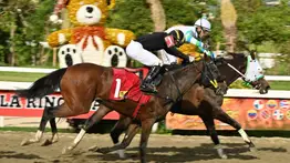 Asegura tu jugada: Conoce el ajuste cómodo de una sorpresa de Gaceta Hípica que te garantizará en el acierto del 5y6