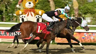 Asegura tu jugada: Conoce el ajuste cómodo de una sorpresa de Gaceta Hípica que te garantizará en el acierto del 5y6 Asegura tu jugada: Conoce el ajuste cómodo de una sorpresa de Gaceta Hípica que te garantizará en el acierto del 5y6