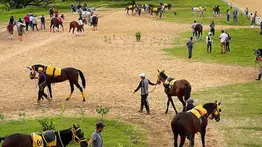 Atención: Se presenta un retirado para el 5y6 de la última reunión sabatina de Hinava