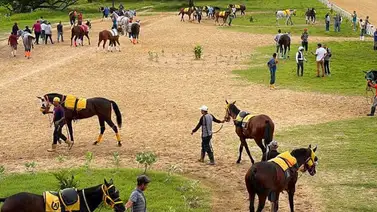 Atención: Se presenta un retirado para el 5y6 de la última reunión sabatina de Hinava Atención: Se presenta un retirado para el 5y6 de la última reunión sabatina de Hinava