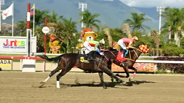 Amigo hípico: Este potro importado se perfila como el candidato cotizado e indescartable gracias a su ajuste contenido para la R48 Amigo hípico: Este potro importado se perfila como el candidato cotizado e indescartable gracias a su ajuste contenido para la R48