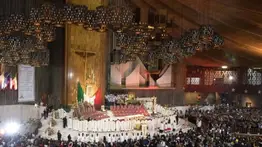 Artistas confirmados para la celebración a la Virgen de Guadalupe