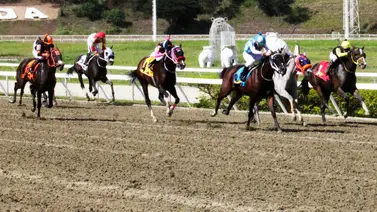 Aquí te revelamos a los ejemplares con mucha fortaleza y la jugada larga que te pueden salvar la navidad en La Rinconada Aquí te revelamos a los ejemplares con mucha fortaleza y la jugada larga que te pueden salvar la navidad en La Rinconada