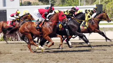 Tienes que saberlo: Mira el ejemplar que es el "dato más corrido" para la primera válida del 5y6 dominical Tienes que saberlo: Mira el ejemplar que es el "dato más corrido" para la primera válida del 5y6 dominical