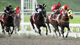 Baja sensible: Ejemplar que era el más cotizado queda retirado del Clásico Internacional Javier José Castellano (GI)