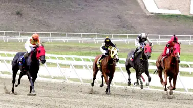 La Rinconada: Datos de Última Hora para el 14-12-2025 La Rinconada: Datos de Última Hora para el 14-12-2025