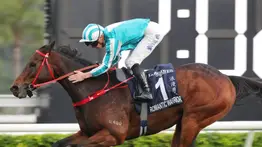 Romantic Warrior se convierte en el primer caballo en la historia en lograr esta hazaña