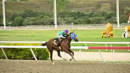 Steady voló para ganar el primer Clásico Internacional Emisael Jaramillo GI