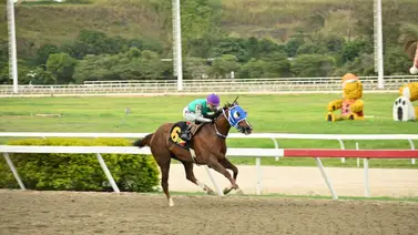 Steady voló para ganar el primer Clásico Internacional Emisael Jaramillo GI Steady voló para ganar el primer Clásico Internacional Emisael Jaramillo GI