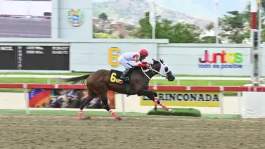 La potra Star of God se quedó con el Clásico Comparación GI tras tropiezo de Melcocha La potra Star of God se quedó con el Clásico Comparación GI tras tropiezo de Melcocha