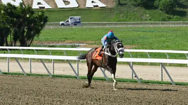 Princesa Fina gana de punta a punta el Clásico Internacional Ramón A. Domínguez GI Princesa Fina gana de punta a punta el Clásico Internacional Ramón A. Domínguez GI