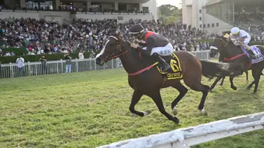 El brasileño Obataye se queda con el Gran Premio Carlos Pellegrini GI y correrá en la Breeders’ Cup 2026 El brasileño Obataye se queda con el Gran Premio Carlos Pellegrini GI y correrá en la Breeders’ Cup 2026