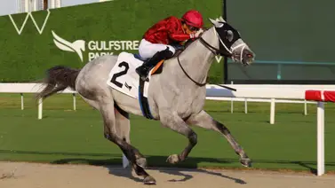 Yolbert Torres genera el mejor dividendo del domingo en Gulfstream Park Yolbert Torres genera el mejor dividendo del domingo en Gulfstream Park