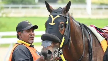 El Stud Yellowstone es el campeón absoluto: Así dominó La Rinconada en la temporada hípica 2025 El Stud Yellowstone es el campeón absoluto: Así dominó La Rinconada en la temporada hípica 2025