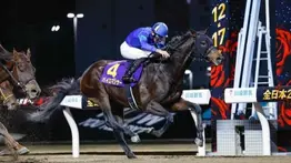 De Japón a Kentucky: Pyromancer logra triunfo G1 y toma la cima de la Ruta del Derby