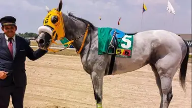 Paprika: La historia de un éxito nacido de un cruce casual en Haras Del Sur Paprika: La historia de un éxito nacido de un cruce casual en Haras Del Sur