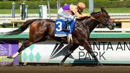 ¡Oficial! Tamara descalificada del Chillingworth Stakes por positivo a metocarbamol