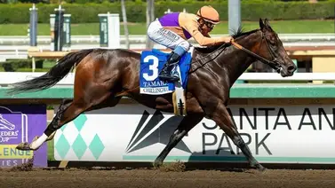 ¡Oficial! Tamara descalificada del Chillingworth Stakes por positivo a metocarbamol ¡Oficial! Tamara descalificada del Chillingworth Stakes por positivo a metocarbamol