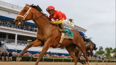Protagonista sorpresa: El ejemplar que venció a Sovereignty compite este viernes en Gulfstream Park Protagonista sorpresa: El ejemplar que venció a Sovereignty compite este viernes en Gulfstream Park