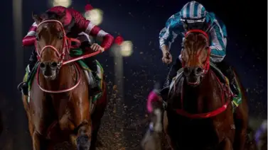 La Saudi Cup 2026 se queda sin su duelo soñado: Romantic Warrior pone rumbo a la Triple Corona de Hong Kong La Saudi Cup 2026 se queda sin su duelo soñado: Romantic Warrior pone rumbo a la Triple Corona de Hong Kong