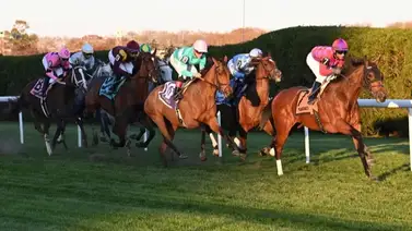 El futuro del turf es en Nueva York: NYRA expande calendario y asegura Breeders' Cup para Belmont Park El futuro del turf es en Nueva York: NYRA expande calendario y asegura Breeders' Cup para Belmont Park