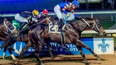 Chip Honcho gana el Gun Runner Stakes y se lanza a la ruta del Kentucky Derby 2026 Chip Honcho gana el Gun Runner Stakes y se lanza a la ruta del Kentucky Derby 2026
