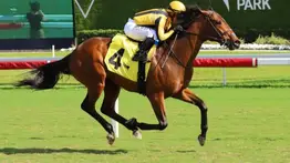 Gulfstream Park: Javier Castellano gana de nuevo y extiende su racha positiva