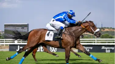 ¡Desde Venezuela para el mundo! El ex jinete y actual entrenador venezolano se prepara en el Hipódromo de Meydan con un par de ejemplares ¡Desde Venezuela para el mundo! El ex jinete y actual entrenador venezolano se prepara en el Hipódromo de Meydan con un par de ejemplares
