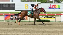 Imparable: Princess Warrior dominó con autoridad a la generación de dos años