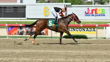 Imparable: Princess Warrior dominó con autoridad a la generación de dos años Imparable: Princess Warrior dominó con autoridad a la generación de dos años