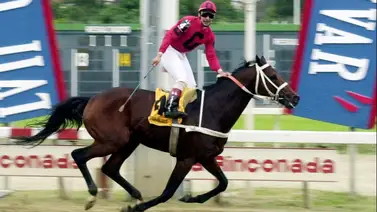 Hoy y mañana: Ángel Castillo cierra la víspera navideña con ocho compromisos y plan de retorno el 29 Hoy y mañana: Ángel Castillo cierra la víspera navideña con ocho compromisos y plan de retorno el 29