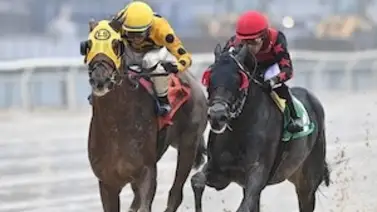 ¡Choques de trenes! Doc Sullivan y Bank Frenzy renovará su rivalidad por quinta vez en la Alex M. Robb de $125,000 ¡Choques de trenes! Doc Sullivan y Bank Frenzy renovará su rivalidad por quinta vez en la Alex M. Robb de $125,000