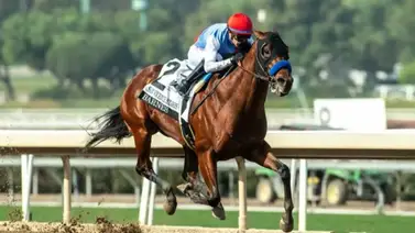 El costoso Barnes hará su reaparecida en el opening day de Santa Anita Park El costoso Barnes hará su reaparecida en el opening day de Santa Anita Park