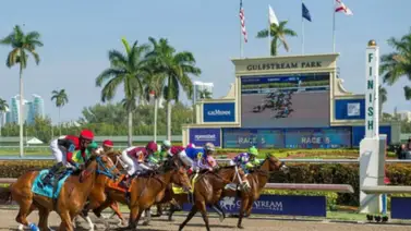 ¡Tiembla tierra! El futuro de las carreras en Gulfstream no está garantizado ¡Tiembla tierra! El futuro de las carreras en Gulfstream no está garantizado