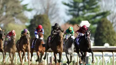 Temporada 2025: Un comienzo de año marcado por cifras históricas para los venezolanos en Estados Unidos Temporada 2025: Un comienzo de año marcado por cifras históricas para los venezolanos en Estados Unidos